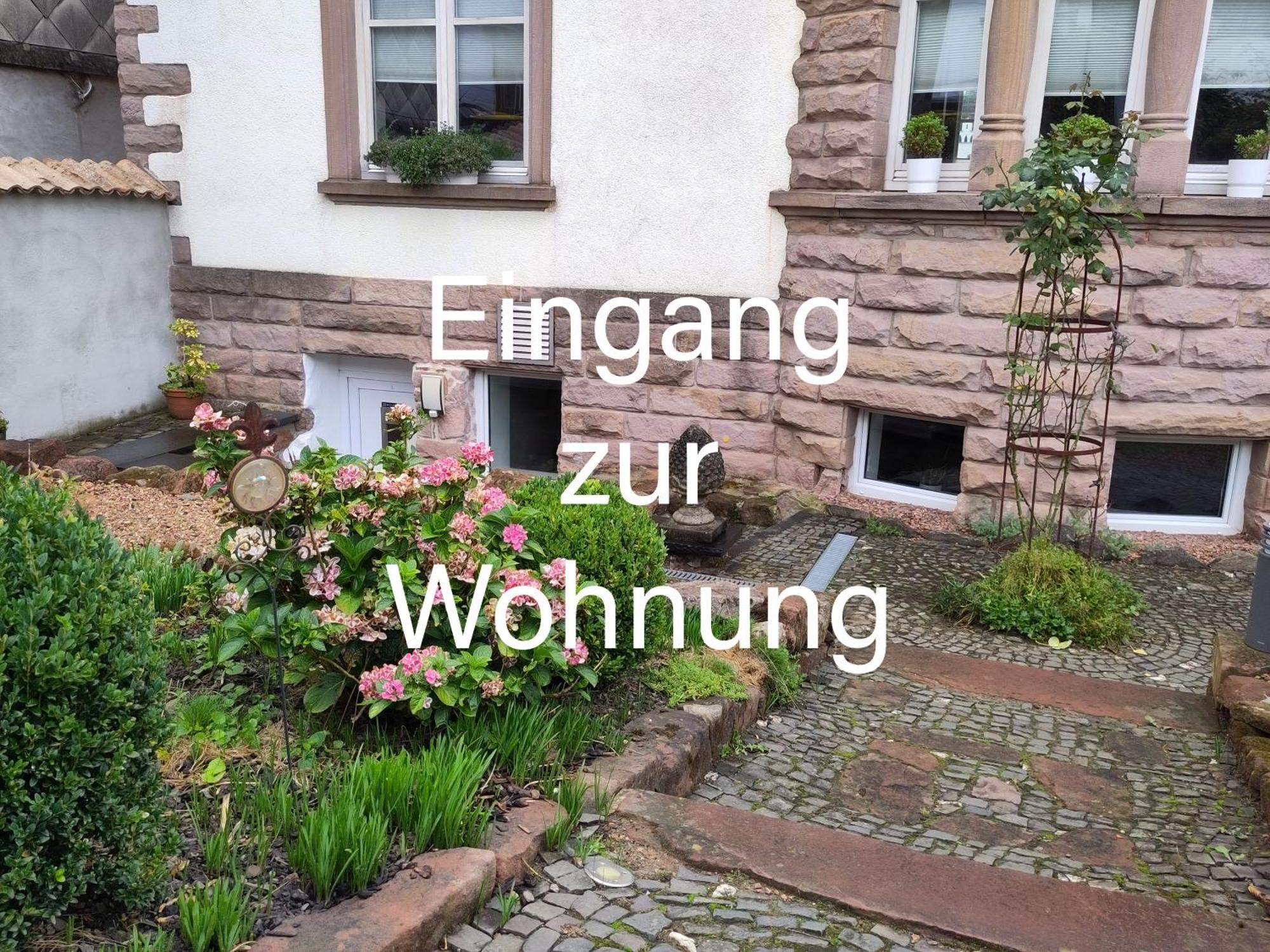 Casa Viva - Separate, Ruhig Gelegene Wohnung Quierschied Esterno foto